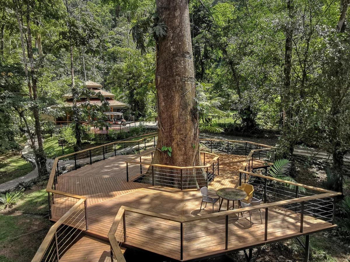 Pacuare Lodge By Boeena Limon Zewnętrze zdjęcie